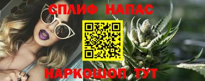 прущие грибы Гагарин