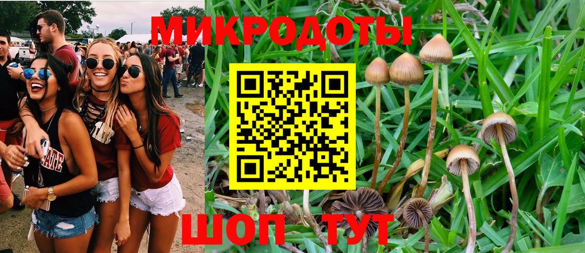 Галлюциногенные грибы прущие грибы  Вход с VPN  Бутурлиновка  Псилоцибиновые грибы Psilocybe 
